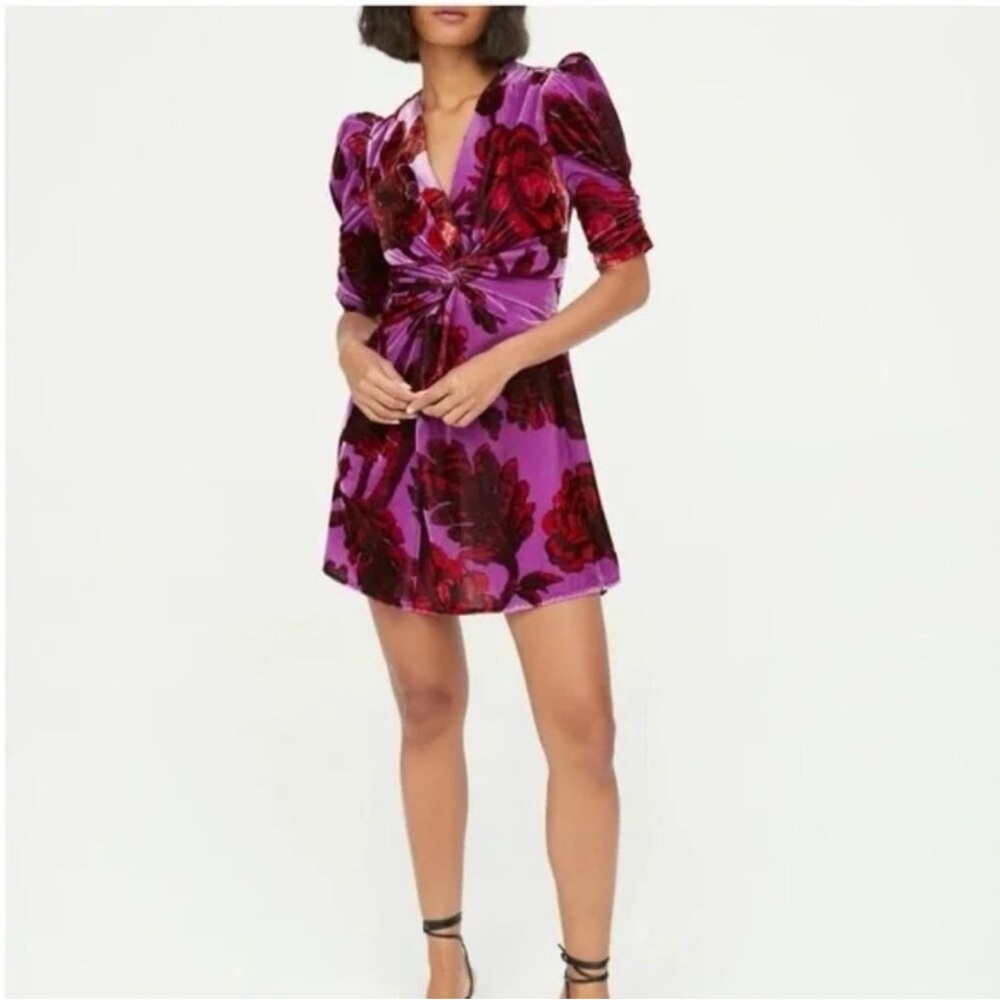 Rhode Leanna Floral Velvet Dress